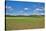 Scenery, corn field, Zea mays, field edge, heaven, blue, little cloud-David & Micha Sheldon-Stretched Canvas