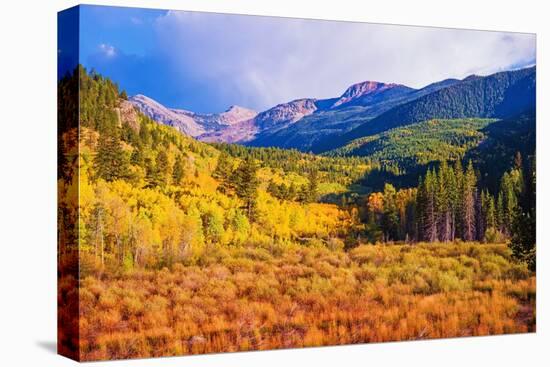 Scenic Aspen Lanscape-duallogic-Premier Image Canvas