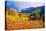 Scenic Aspen Lanscape-duallogic-Premier Image Canvas