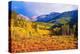 Scenic Aspen Lanscape-duallogic-Premier Image Canvas