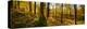 Scenic autumn forest, Grasmere, Lake District, Cumbria, England, United Kingdom-Panoramic Images-Premier Image Canvas