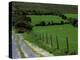 Scenic Dirt Road with Wildflowers, County Cork, Ireland-Marilyn Parver-Premier Image Canvas