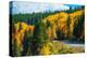 Scenic Fall Colorado Road-duallogic-Premier Image Canvas