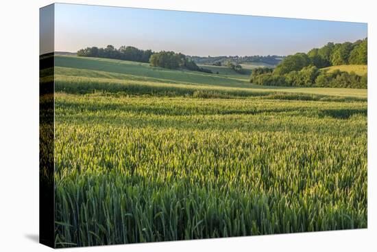 Scenic field, Vexin Region, Normandy, France-Lisa S. Engelbrecht-Premier Image Canvas