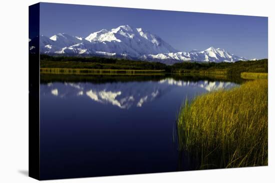 Scenic Lake View of Mt McKinley, Denali National Park, Alaska, USA-Jerry Ginsberg-Premier Image Canvas