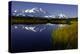 Scenic Lake View of Mt McKinley, Denali National Park, Alaska, USA-Jerry Ginsberg-Premier Image Canvas