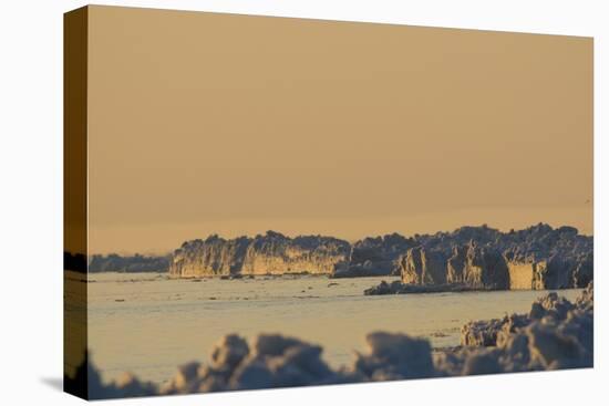 Scenic Landscape of Lead Ice Edge, Chukchi Sea, Alaska, USA-Steve Kazlowski-Premier Image Canvas