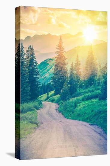 Scenic Mountain Road-duallogic-Premier Image Canvas