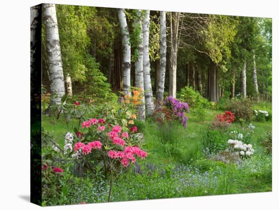 Scenic of Forest and Garden, Canada-Ellen Anon-Premier Image Canvas