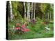 Scenic of Forest and Garden, Canada-Ellen Anon-Premier Image Canvas