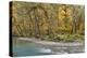 Scenic of Quinault River in the Olympic National Park, Washington, USA-Jaynes Gallery-Premier Image Canvas