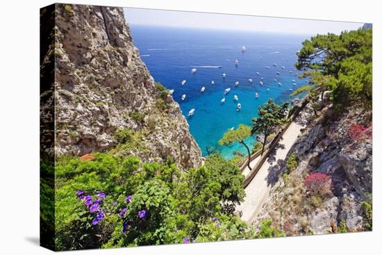 Scenic Trail, Capri, Italy-George Oze-Premier Image Canvas