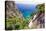 Scenic Trail, Capri, Italy-George Oze-Premier Image Canvas