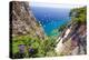 Scenic Trail, Capri, Italy-George Oze-Premier Image Canvas