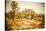 Scenic View In Joshua Tree National Park-Ron Koeberer-Stretched Canvas