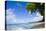 Scenic View of Beach, Sandy Lane Beach, Barbados-Stefano Amantini-Premier Image Canvas