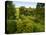 Scenic View of Country Garden-Tim Kahane-Premier Image Canvas