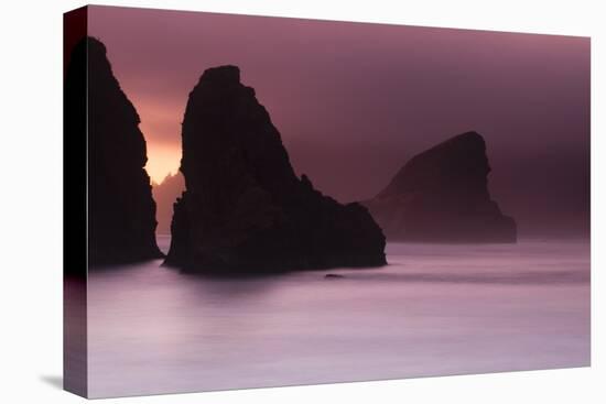 Scenic view of rock formations on the beach, Haystack Rock, Cannon Beach, Samuel H. Boardman Sta...-Panoramic Images-Premier Image Canvas
