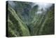 Scenic Views of Kauai's Interior Rain Forests from Above-Micah Wright-Premier Image Canvas