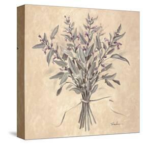 Scent of Sage-Telander-Stretched Canvas