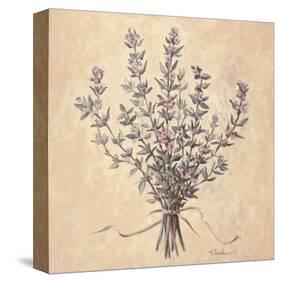Scent of Thyme-Telander-Stretched Canvas