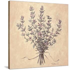 Scent of Thyme-Todd Telander-Stretched Canvas