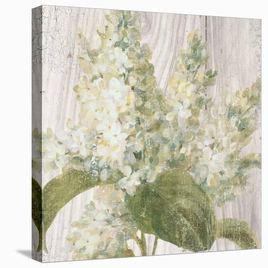 Scented Cottage Florals II Crop-Danhui Nai-Stretched Canvas