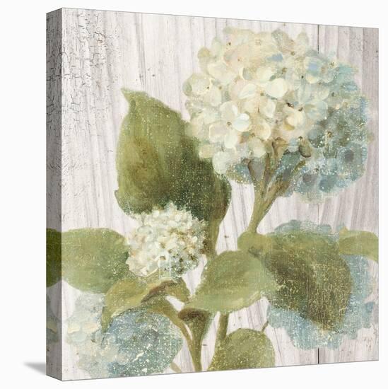 Scented Cottage Florals IV Crop-Danhui Nai-Stretched Canvas