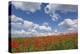 Schleswig-Holstein, Field with Poppies-Catharina Lux-Premier Image Canvas