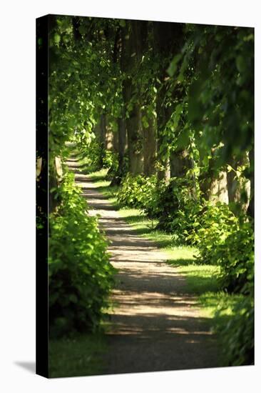 Schleswig-Holstein, Sieseby, Path Through Old Cemetery-Catharina Lux-Premier Image Canvas