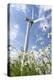 Schleswig-Holstein, Wind Turbine, Nature, Wind Power-Catharina Lux-Premier Image Canvas