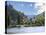 Schloss Stahleck, Bacharach, Germany-Miva Stock-Premier Image Canvas