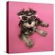 Schnauzer Puppy Wearing Pink Glasses-null-Premier Image Canvas