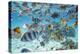 School Of Tropical Fish, Including Butterfly Fish, And Zebra Fish Along A Reef In Bora Bora-Karine Aigner-Premier Image Canvas