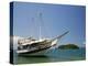 Schooner Cruising Between Different Beaches and Islands around Parati, Rio de Janeiro State, Brazil-Yadid Levy-Premier Image Canvas