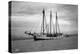 Schooner Great Bear, 1916-Asahel Curtis-Premier Image Canvas