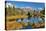 Schwabacher Pond-Larry Malvin-Premier Image Canvas