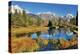 Schwabacher Pond-Larry Malvin-Premier Image Canvas