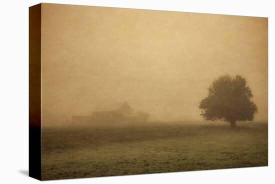 Schwartz - Foggy Barn-Don Schwartz-Stretched Canvas