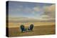 Schwartz - Two Chairs on the Sand-Don Schwartz-Stretched Canvas