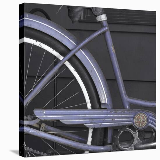 Schwinn 1-Stephen Gassman-Stretched Canvas