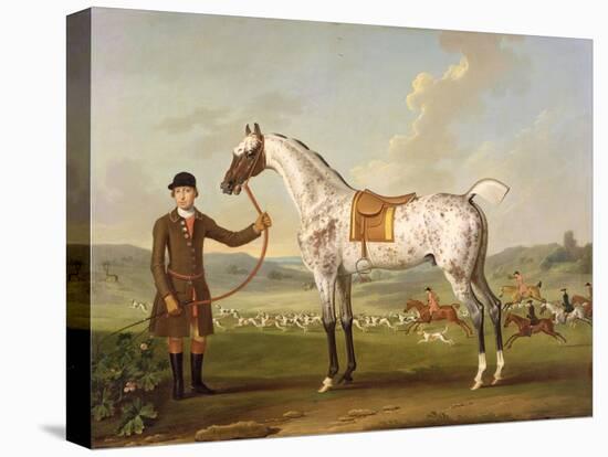 Scipio, Colonel Roche's Spotted Hunter, c.1750-Thomas Spencer-Premier Image Canvas