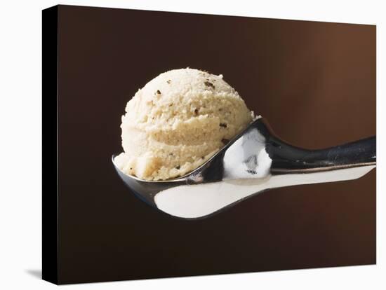 Scoop of Ice Cream in Ice Cream Scoop-null-Premier Image Canvas