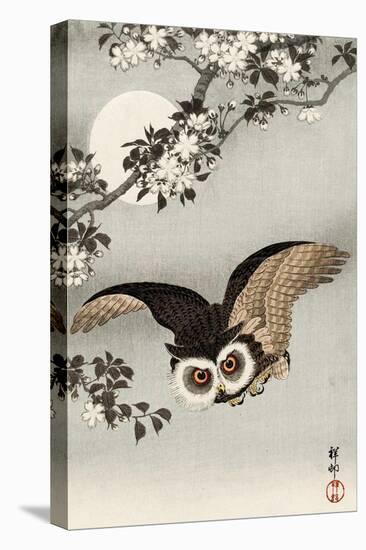 Scops Owl Flying under Cherry Blossoms-Koson Ohara-Premier Image Canvas