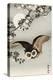 Scops Owl Flying under Cherry Blossoms-Koson Ohara-Premier Image Canvas