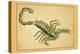 Scorpio-Aspin Jehosaphat-Stretched Canvas