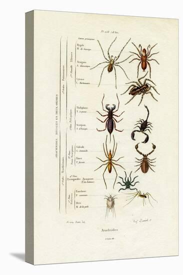 Scorpions, 1833-39-null-Premier Image Canvas