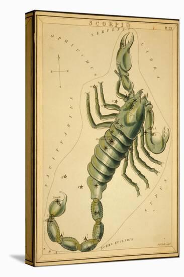 Scorpius Constellation, Zodiac Sign, 1825-Science Source-Premier Image Canvas