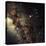 Scorpius Constellation-Eckhard Slawik-Premier Image Canvas