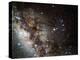 Scorpius Constellation-Eckhard Slawik-Premier Image Canvas